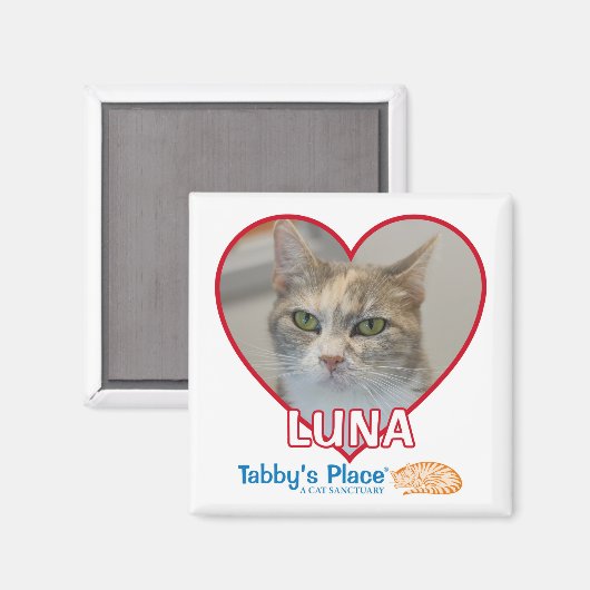 Magnet (Voorkant / Achterkant)