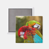 Magnet (Voorkant / Achterkant)