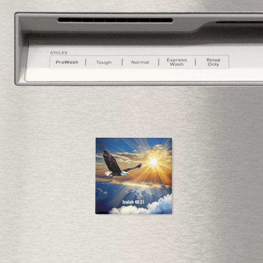 Magnet (Insitu (Vaatwasser))