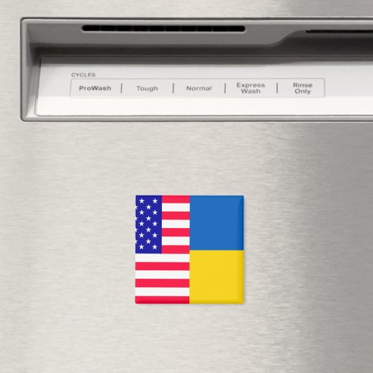 Magnet (Insitu (Vaatwasser))