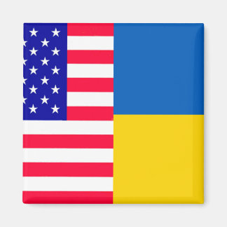 Magnet