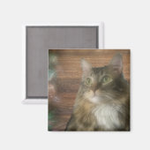 Magnet (Voorkant / Achterkant)