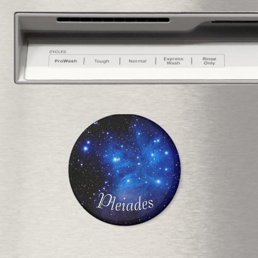 Magnet (Insitu (Vaatwasser))