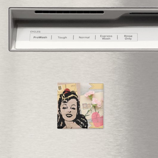 Magnet  (Insitu (Vaatwasser))