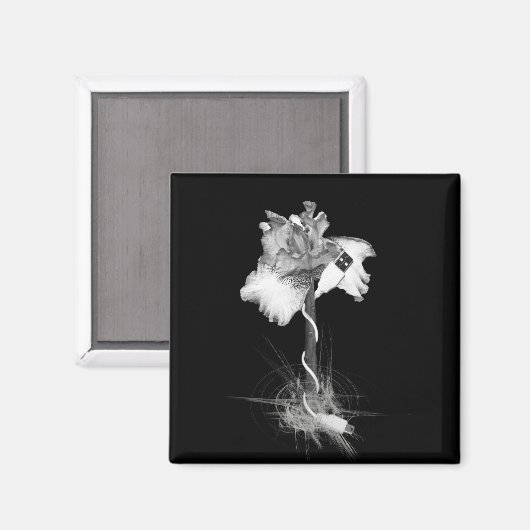 Magnet (Voorkant / Achterkant)