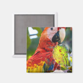 Magnet (Voorkant / Achterkant)