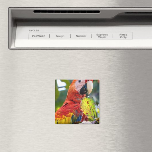 Magnet (Insitu (Vaatwasser))