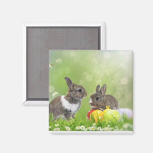 Magnet (Voorkant / Achterkant)