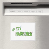 Magnet (Insitu (Vaatwasser))