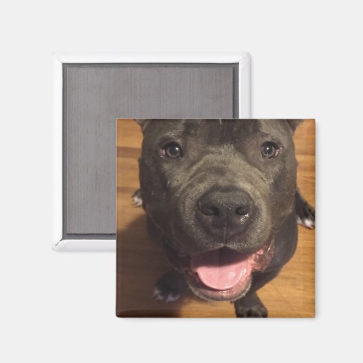 Magnet (Voorkant / Achterkant)