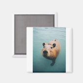 Magnet (Voorkant / Achterkant)