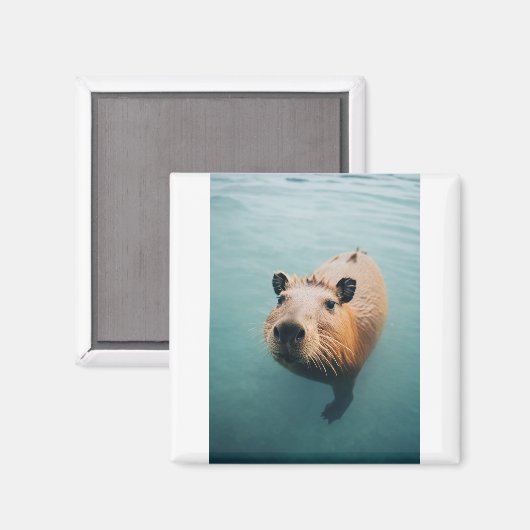 Magnet (Voorkant / Achterkant)