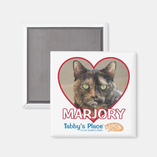 Magnet (Voorkant / Achterkant)