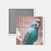 Magnet (Voorkant / Achterkant)