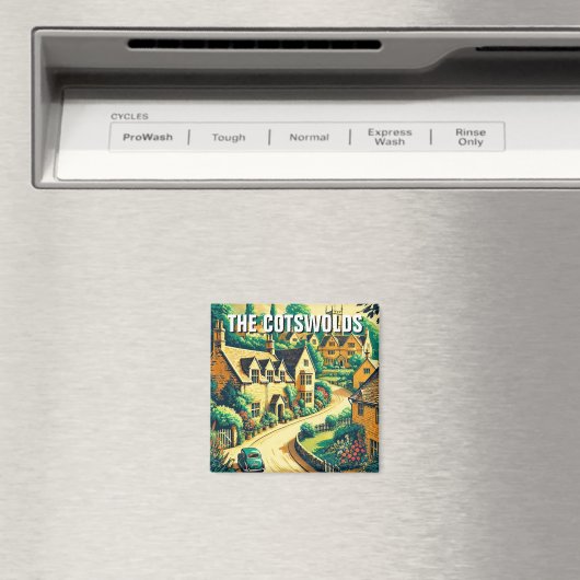 Magnet (Insitu (Vaatwasser))