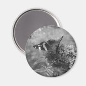Magnet - Admiral Butterfly (Voorkant / Achterkant)