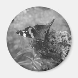 Magnet - Admiral Butterfly