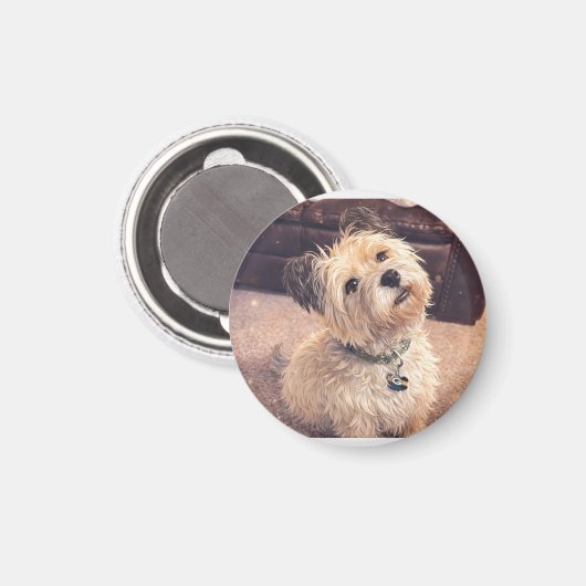 Magnet Adorable Terrier Puppy (Voorkant / Achterkant)
