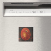 Magnet Ann Hayes schilderend Apple (Insitu (Vaatwasser))