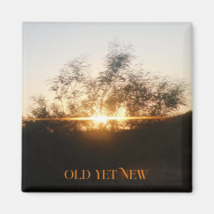 MAGNET ART&DESIGN DECORATIE STIJLEN