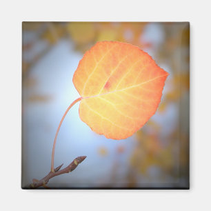 Magnet-Aspen Leaf Magneet