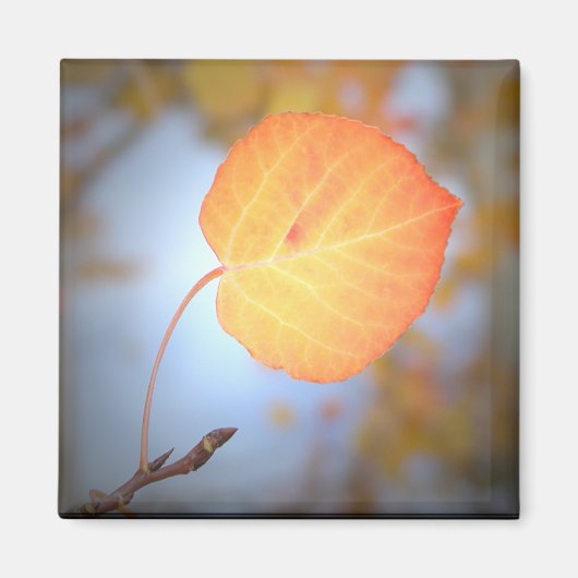Magnet-Aspen Leaf Magneet (Voorkant)
