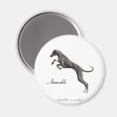 MAGNET Azawakh 2 (Voorkant / Achterkant)