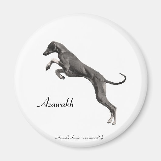 MAGNET Azawakh 2 (Voorkant)