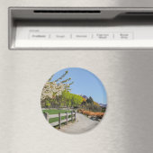 Magnet - backdrop of Walter's peak (Insitu (Vaatwasser))