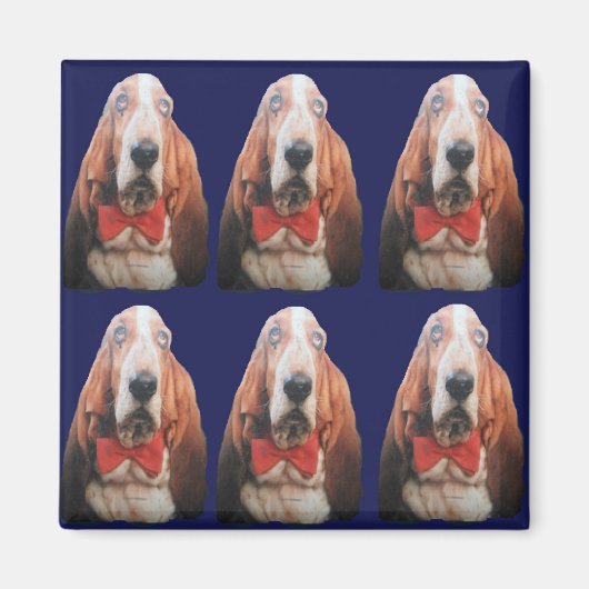 Magnet Basset Hounds (Voorkant)