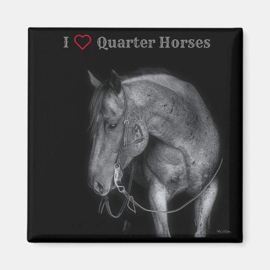 Magnet Black & White Quarter Horse (Voorkant)