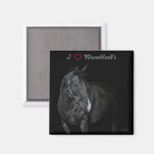 Magnet Black & White Warmblood (Voorkant / Achterkant)