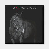 Magnet Black & White Warmblood (Voorkant)