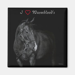 Magnet Black & White Warmblood