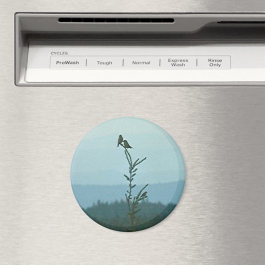 Magnet - Bovenkant van de wereld (Insitu (Vaatwasser))