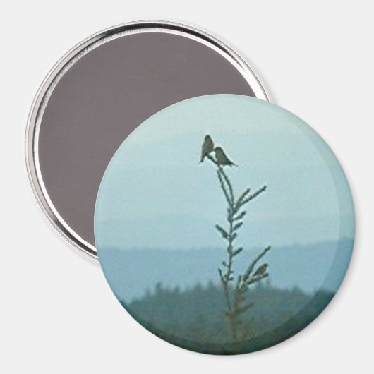 Magnet - Bovenkant van de wereld (Voorkant / Achterkant)