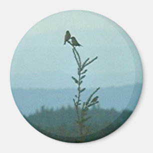 Magnet - Bovenkant van de wereld