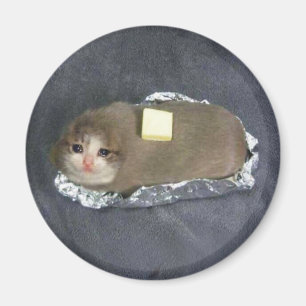Magnet Butter Cat Meme