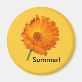 Magnet - Calendula op stoom (Voorkant)