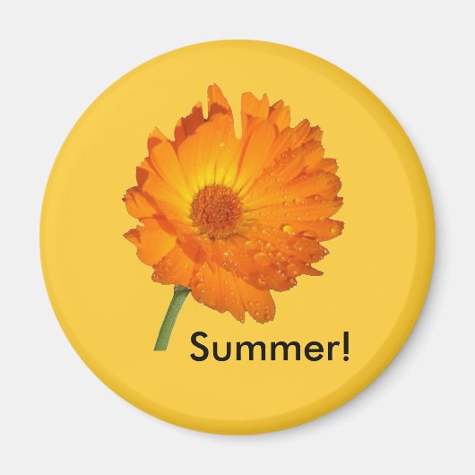 Magnet - Calendula op stoom (Voorkant)