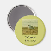 Magnet - Californische dromen (Voorkant / Achterkant)