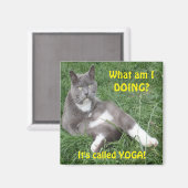 Magnet Cat Yoga (Voorkant / Achterkant)