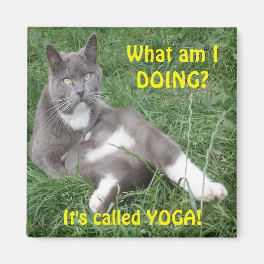 Magnet Cat Yoga (Voorkant)