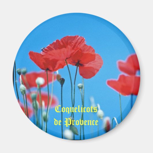 Magnet coquelicot (Voorkant)