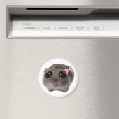 Magnet Coquette Sad Hamster Meme (Insitu (Vaatwasser))