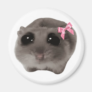 Magnet Coquette Sad Hamster Meme