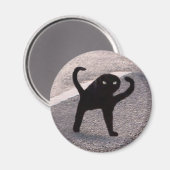 Magnet Cursed Cat Meme (Voorkant / Achterkant)