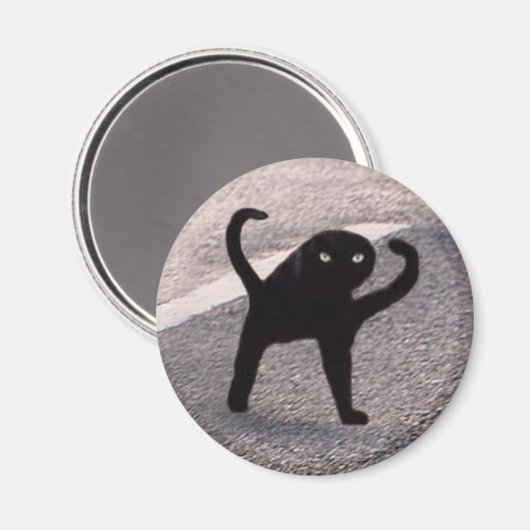 Magnet Cursed Cat Meme (Voorkant / Achterkant)