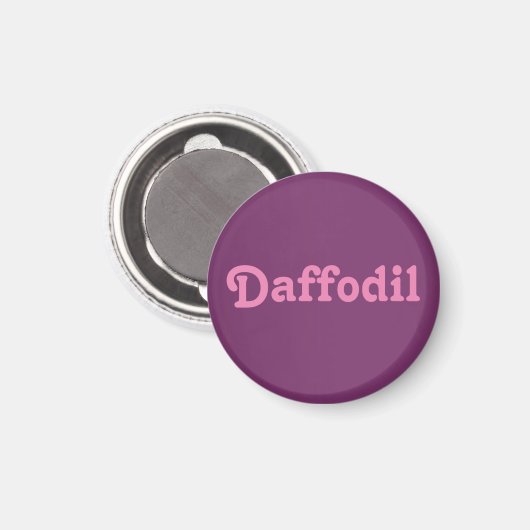 Magnet Daffodil (Voorkant / Achterkant)