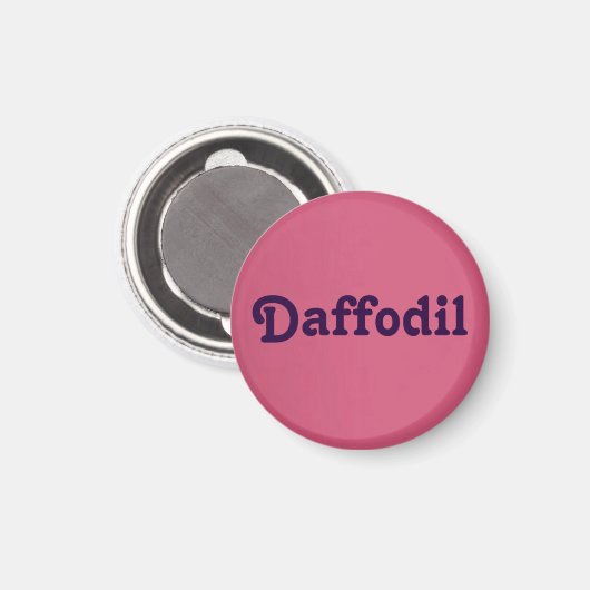 Magnet Daffodil (Voorkant / Achterkant)